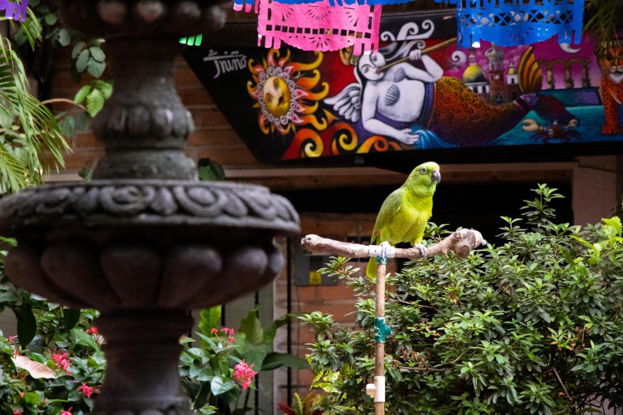 Hotel Posada De Roger プエルトバラータ エクステリア 写真